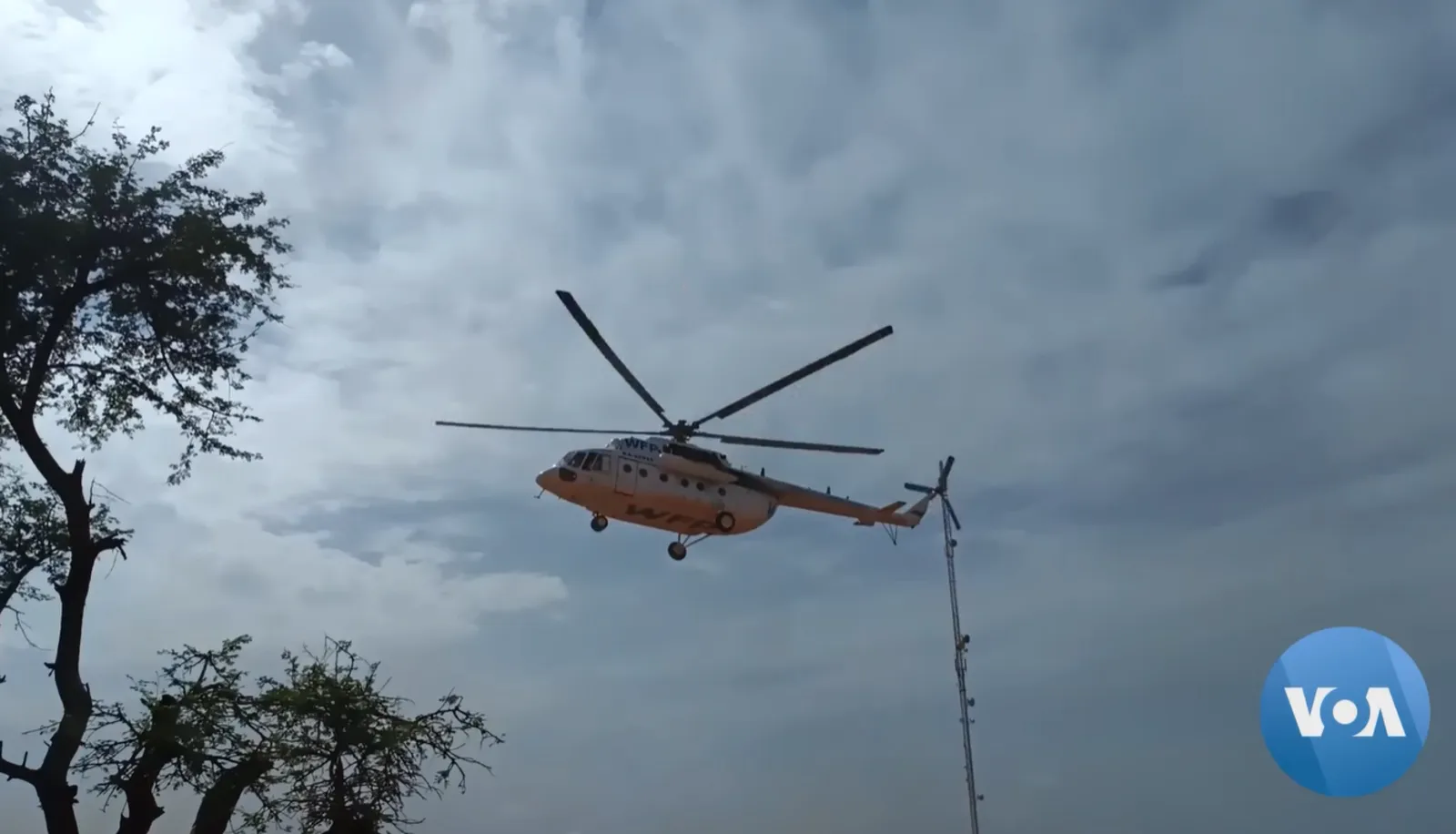Djibo