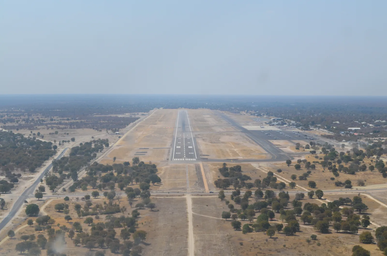 Maun