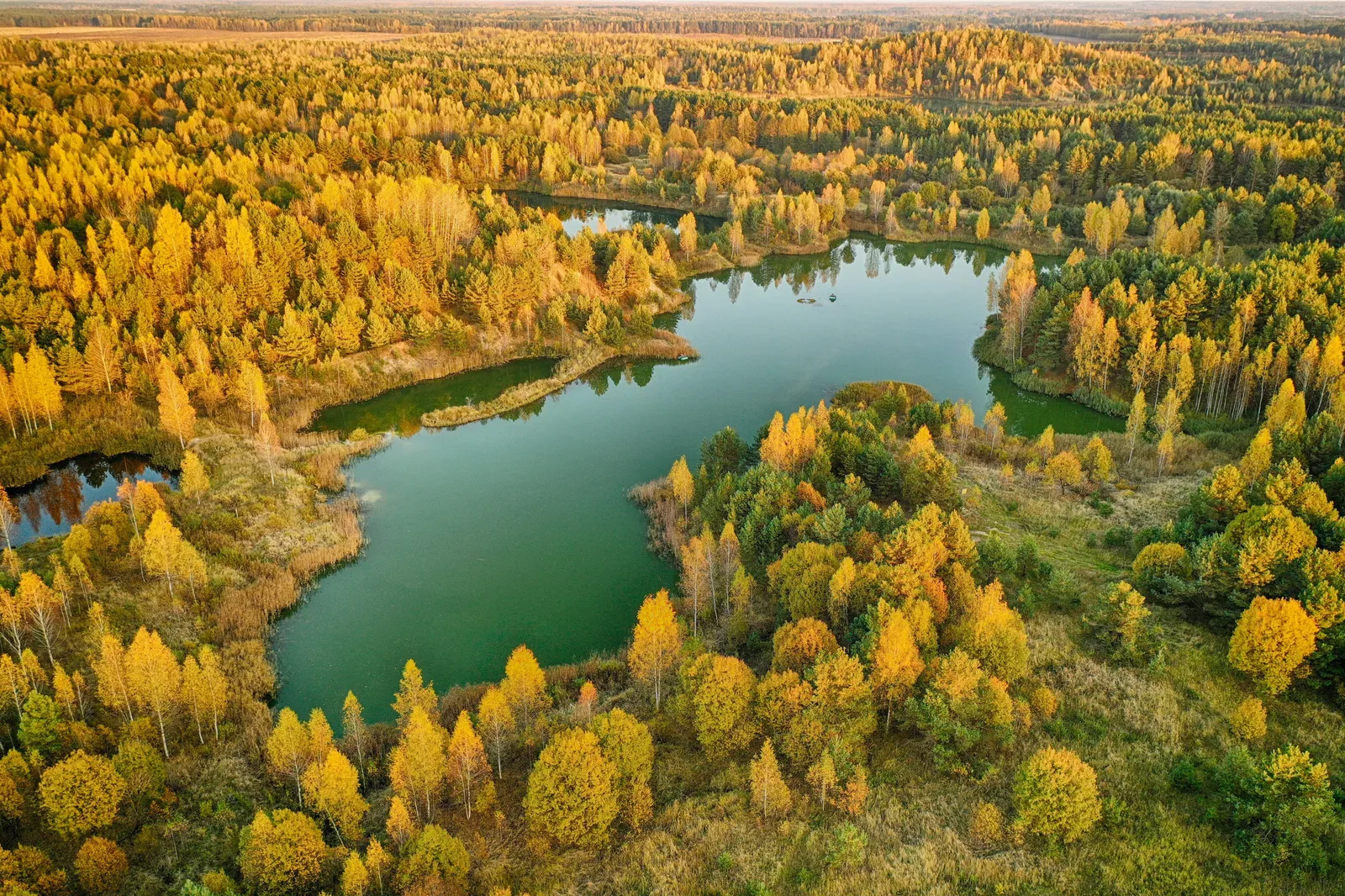 Mogilev