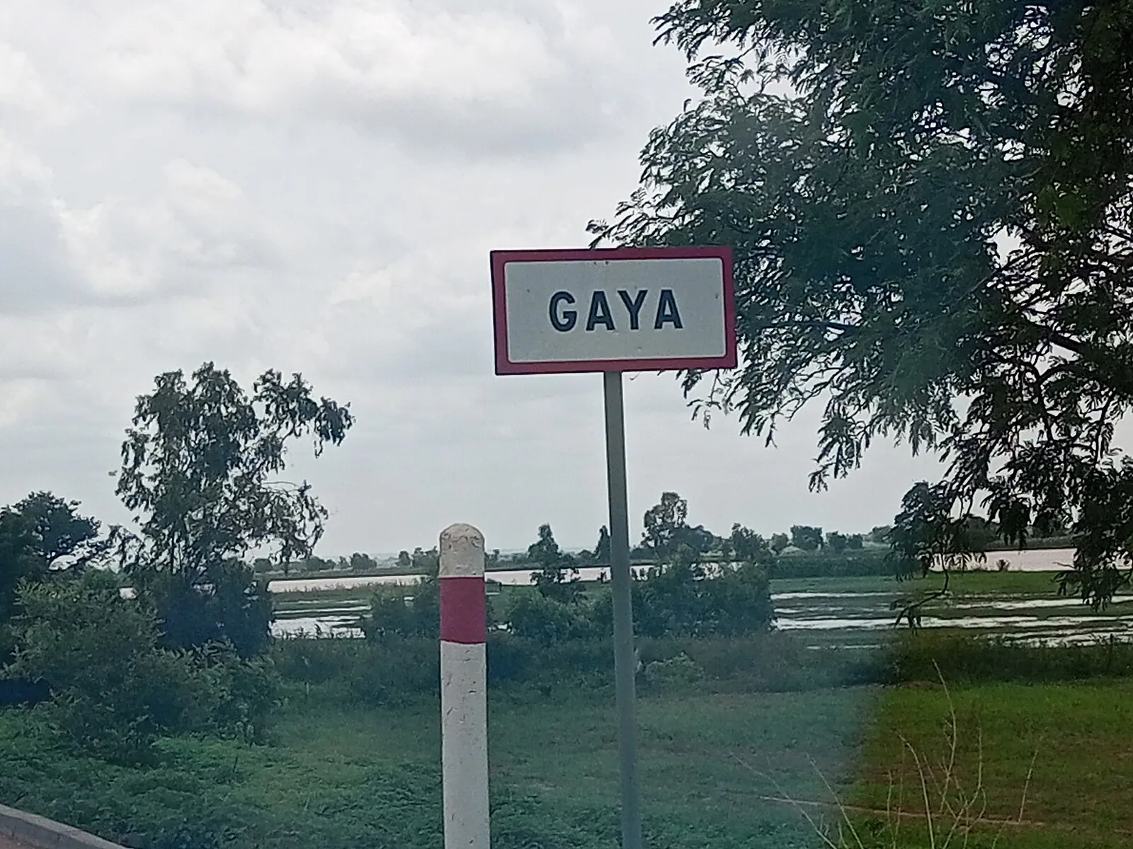 Gaya
