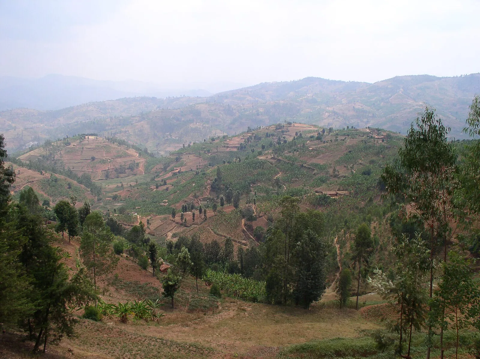 Gitarama