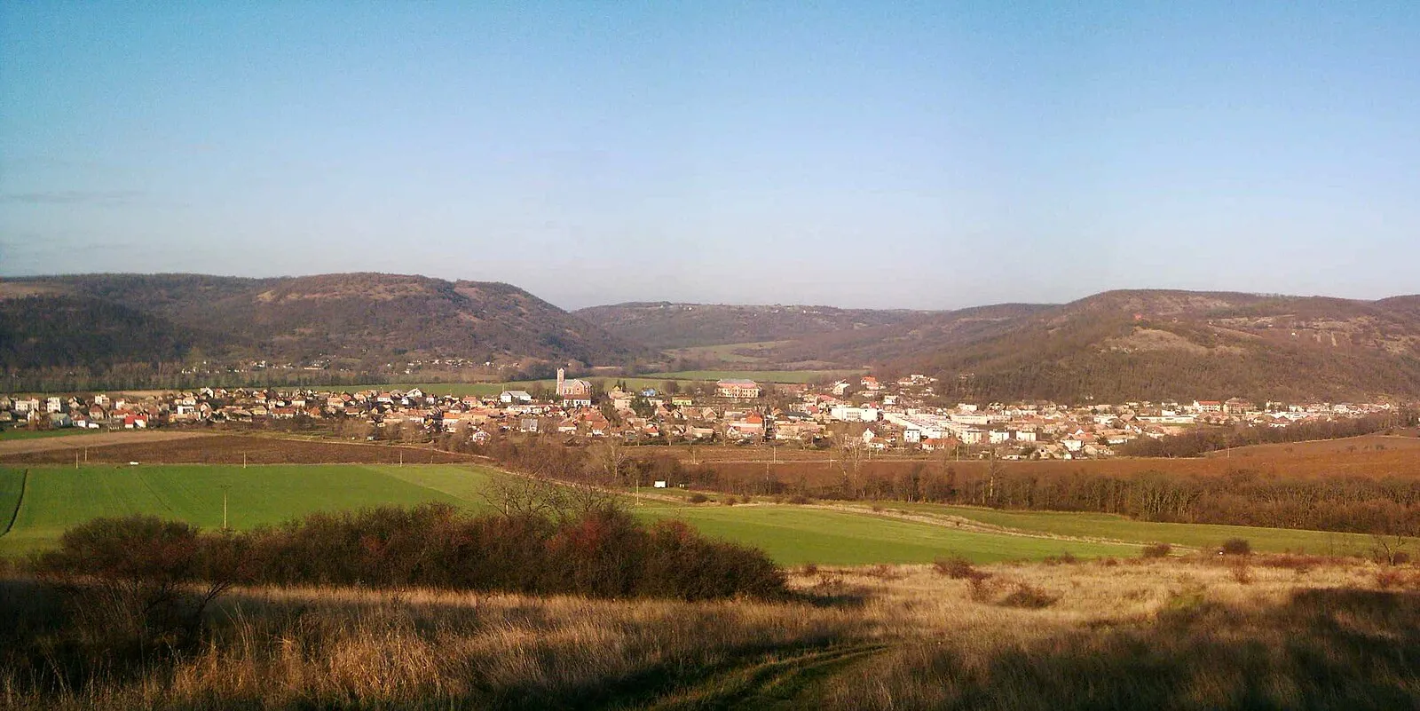 Nitra