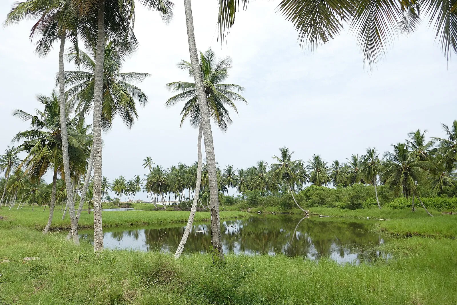 Sao Tome and Principe